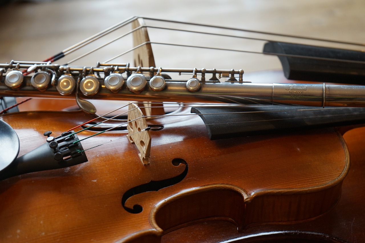 violin 3621677 1280